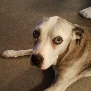 Meet your Posher, Crystal